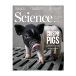 China's childhood experiment (Science) Fr
